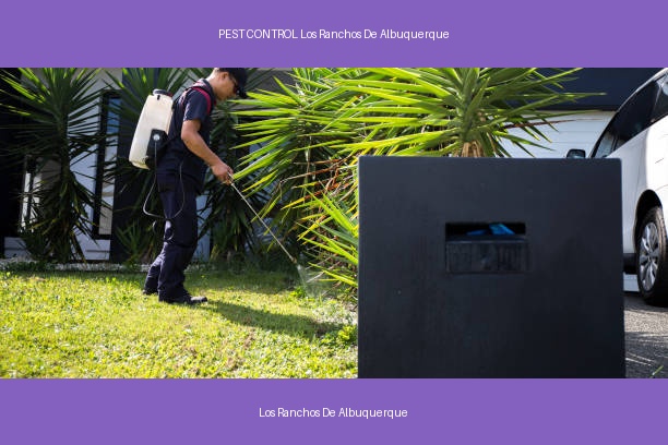 PEST CONTROL Los Ranchos De Albuquerque